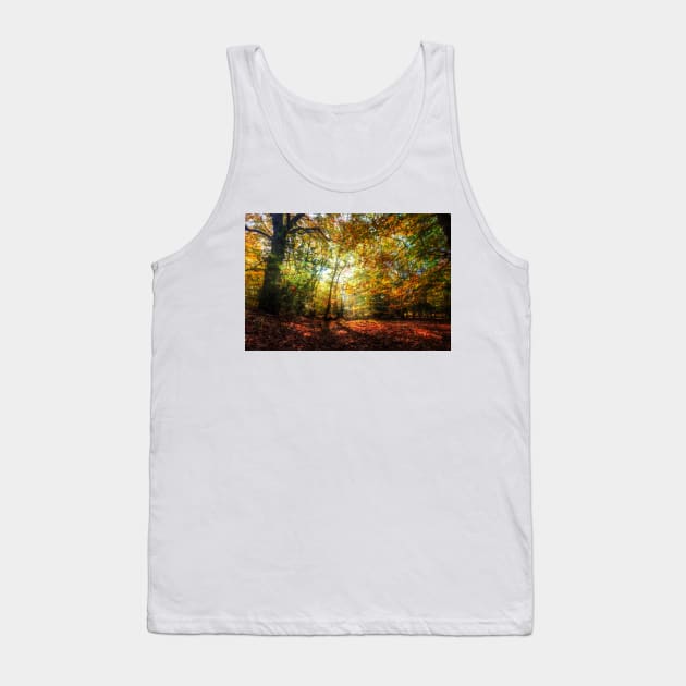 Sunlight Through Autumn Leaves Tank Top by Nigdaw